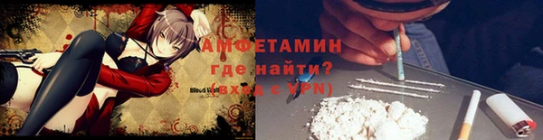 индика Богородск