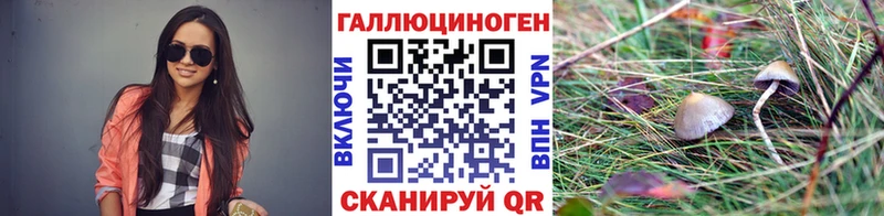 Галлюциногенные грибы GOLDEN TEACHER  купить   Канск 