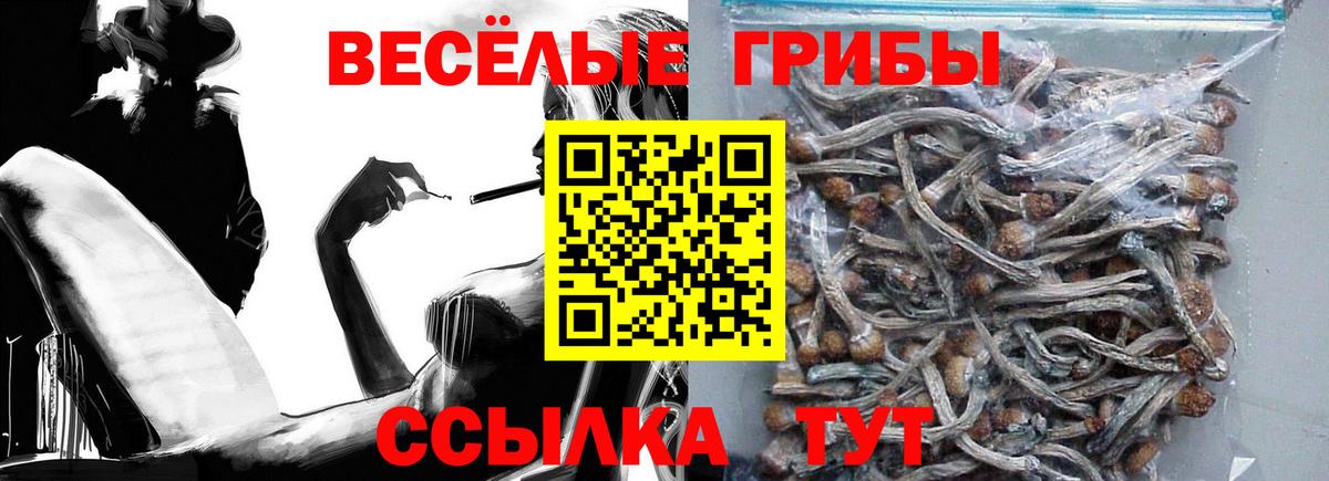 Галлюциногенные грибы мухоморы Канск