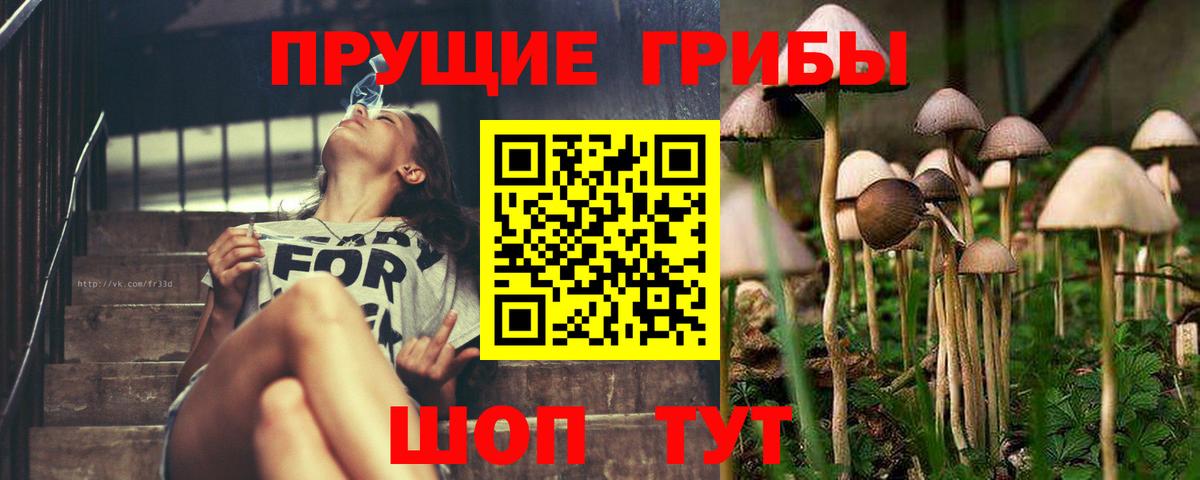 наркотики  Вход с VPN  Канск  Галлюциногенные грибы MAGIC MUSHROOMS 